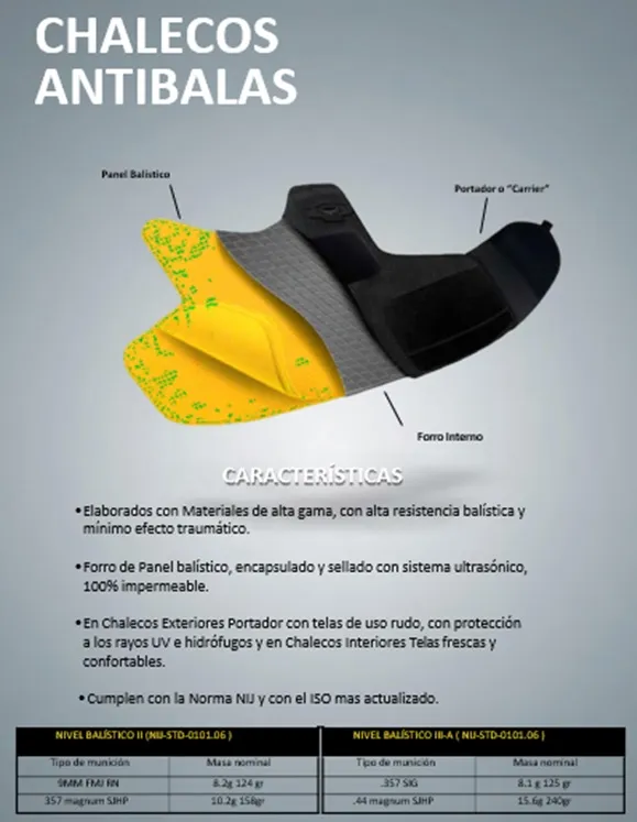 Consultores de seguridad