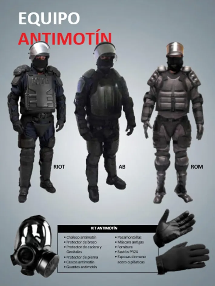 Consultores de seguridad