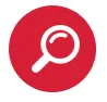 Consultores de seguridad